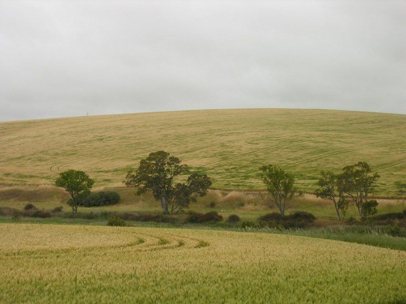 16 South Street, Hamley Bridge SA 5401