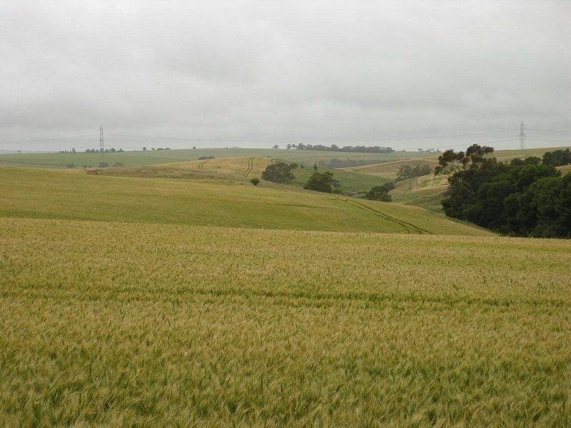 16 South Street, Hamley Bridge SA 5401