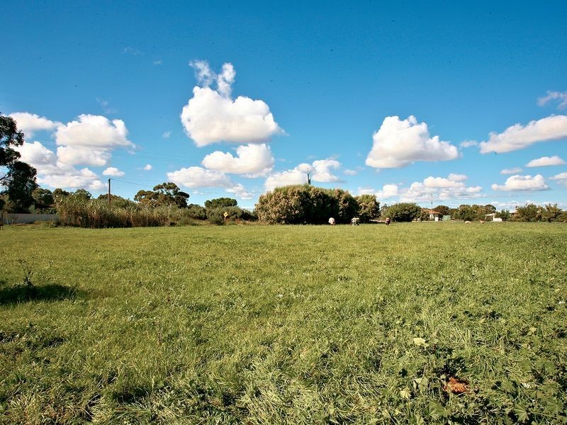 43 Dawkins Road TWO WELLS, Lewiston SA 5501