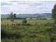 43 Stollberg Street, Freeling SA 5372