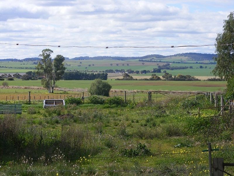 43 Stollberg Street, Freeling SA 5372
