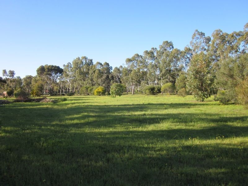 6 Williams Road, Two Wells SA 5501