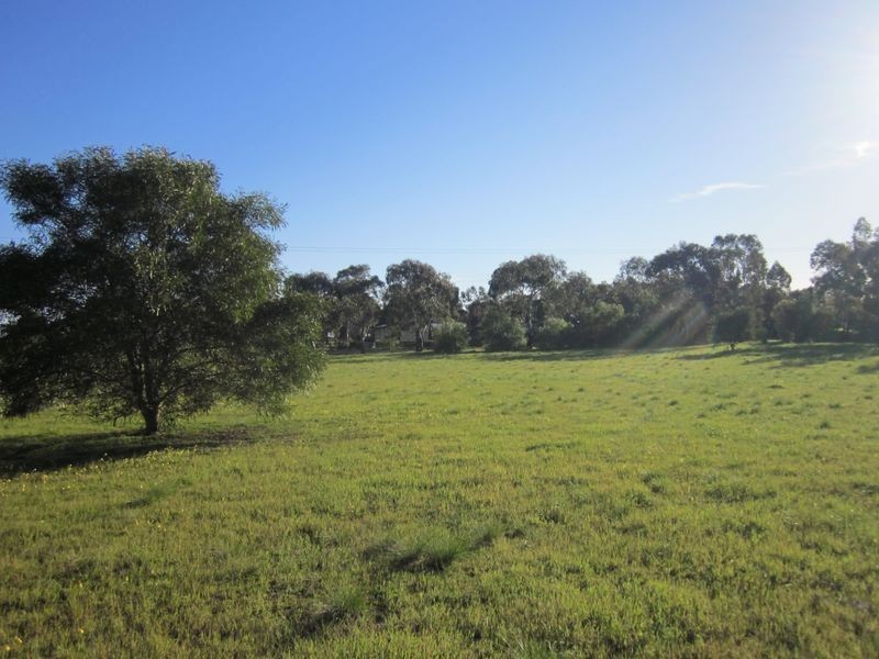 6 Williams Road, Two Wells SA 5501