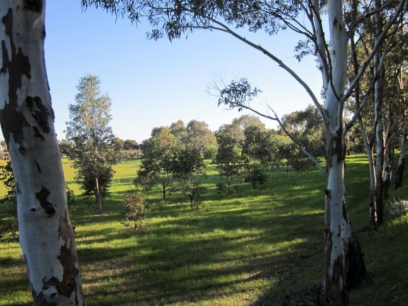 6 Williams Road, Two Wells SA 5501