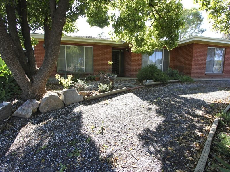 1 Pauline Drive, Surrey Downs SA 5126