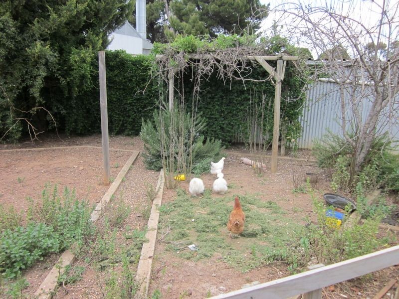 44 Baker Street, Kapunda SA 5373