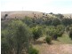 24 Providence Boulevard, Hewett SA 5118