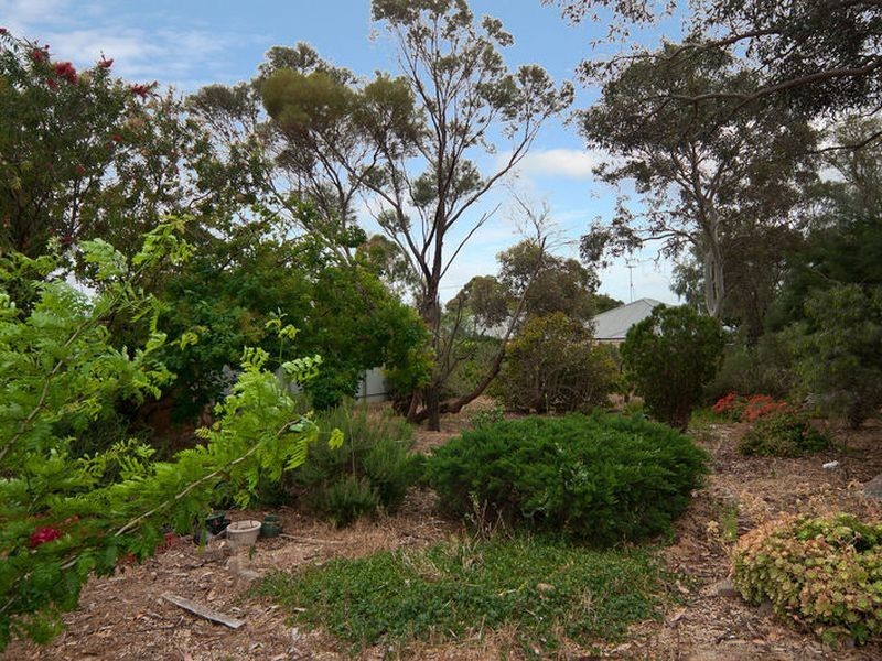 48 Lyndoch Road, Gawler East SA 5118