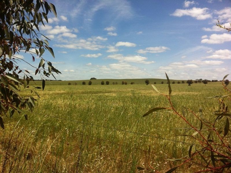 Lot 592 Hawkers Creek Road, Kapunda SA 5373