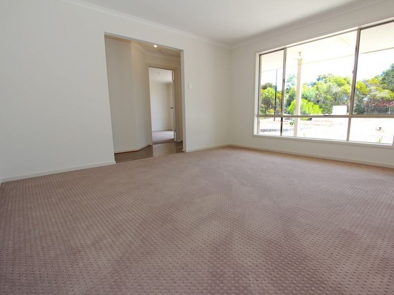Lot 116 Borrow Street, Freeling SA 5372