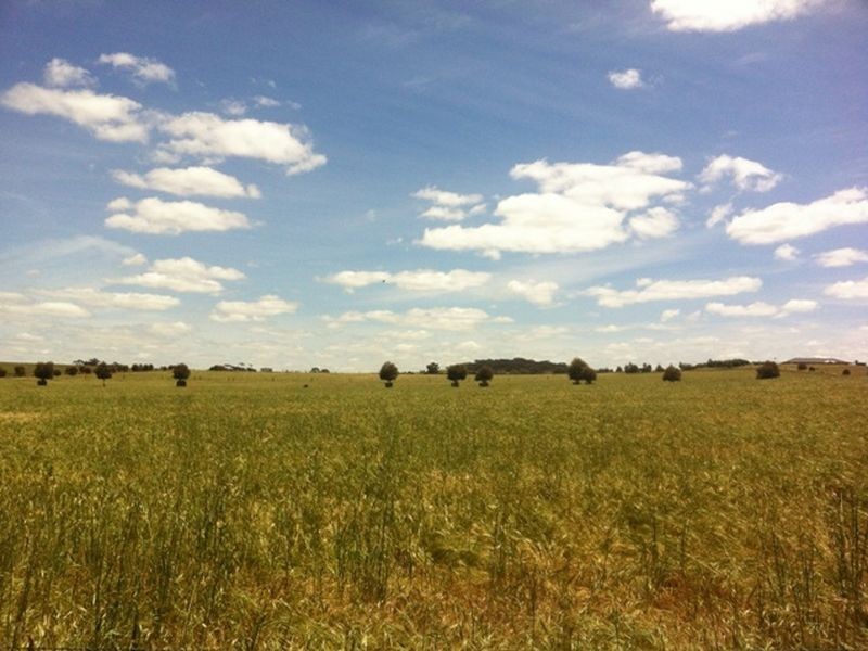 Lot 592 Hawkers Creek Road, Kapunda SA 5373