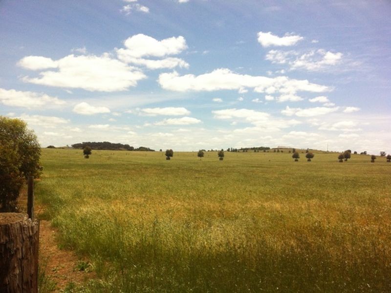 Lot 592 Hawkers Creek Road, Kapunda SA 5373