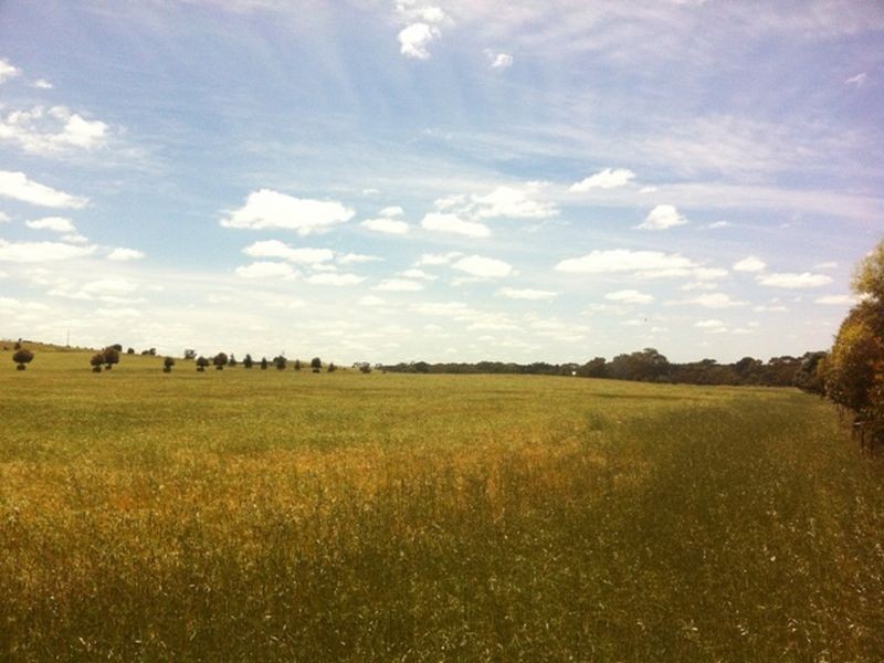 Lot 592 Hawkers Creek Road, Kapunda SA 5373