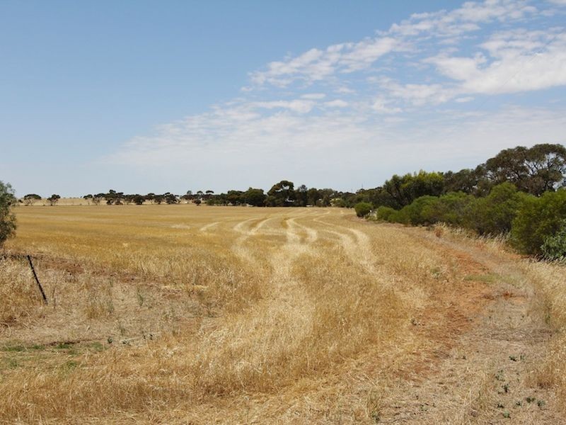 Lot 547 & Government Road, Owen SA 5460