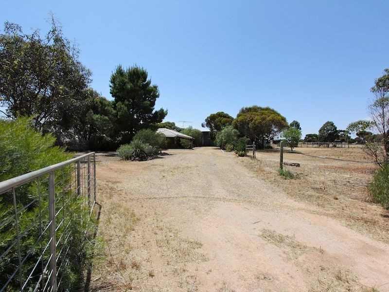 Lot 547 & Government Road, Owen SA 5460