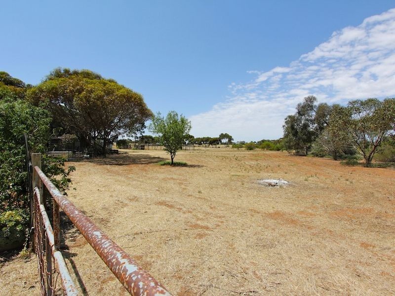 Lot 547 & Government Road, Owen SA 5460