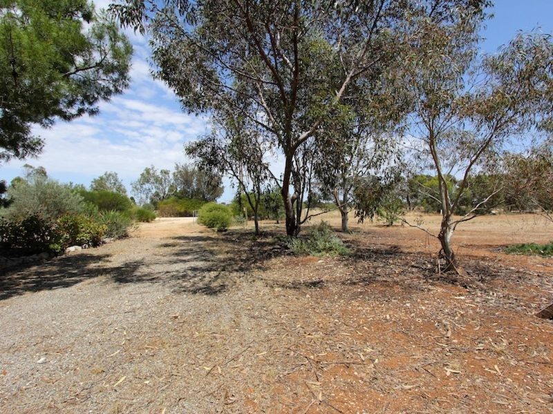 Lot 547 & Government Road, Owen SA 5460