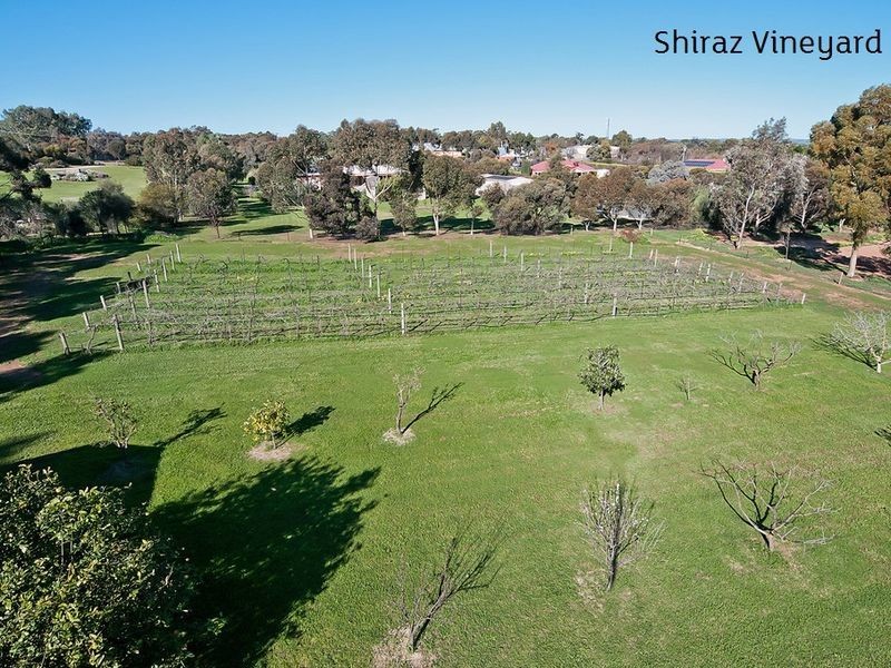 12 Barkley Drive, Gawler Belt SA 5118