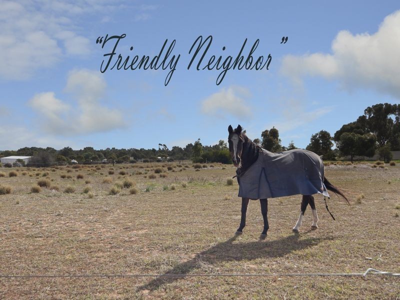 LOT 14 Krause Drive, Gawler Belt SA 5118