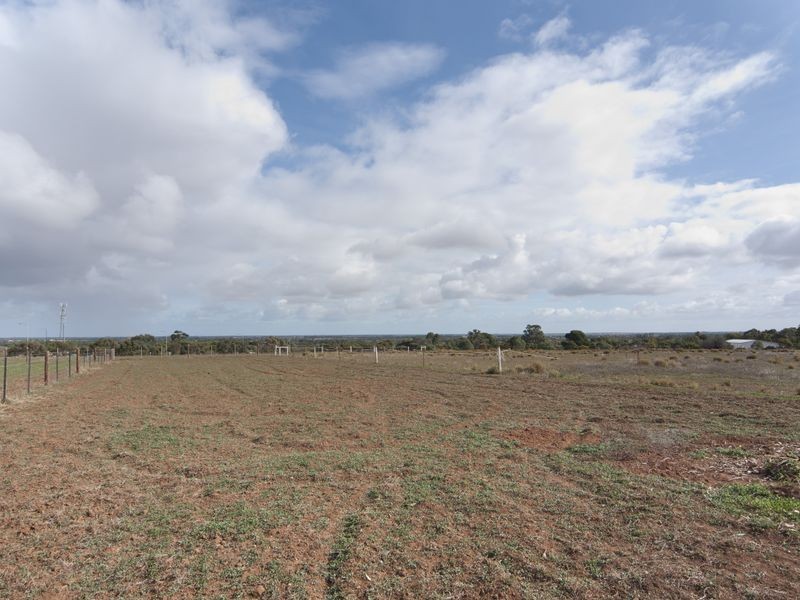 LOT 14 Krause Drive, Gawler Belt SA 5118