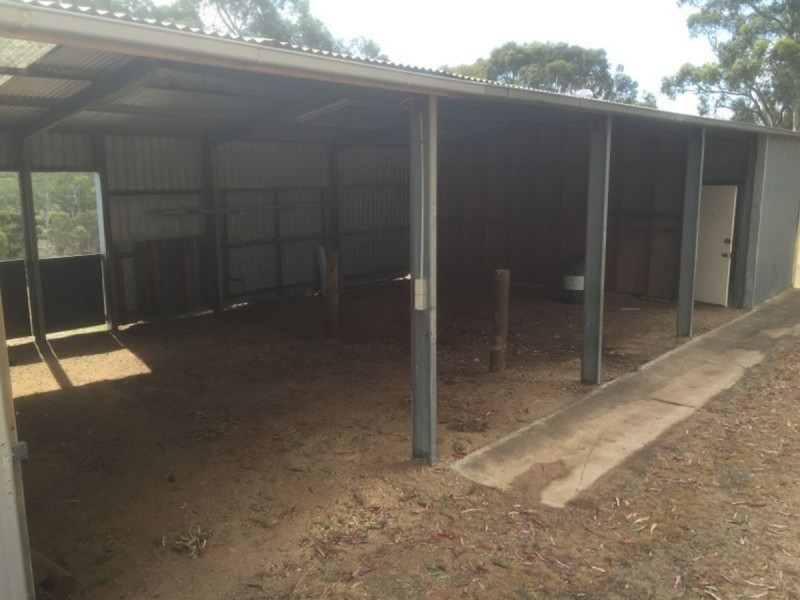 21 Sims Rush Lane, Cockatoo Valley SA 5351