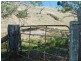 Lot 11 Springton Road, Williamstown SA 5351