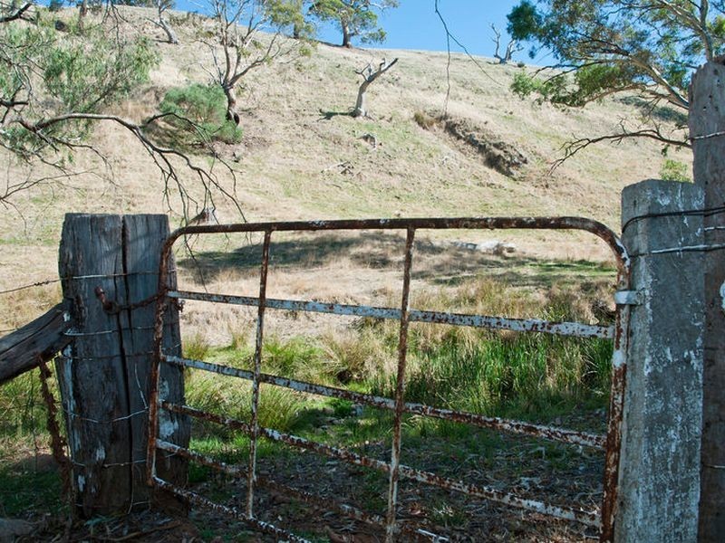 Lot 11 Springton Road, Williamstown SA 5351