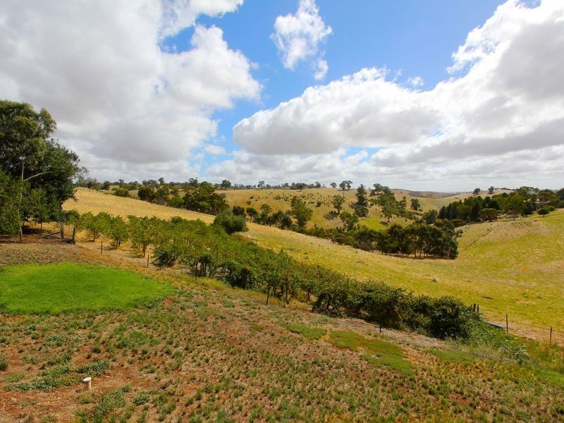 Lot 9 Toolunga Road, One Tree Hill SA 5114