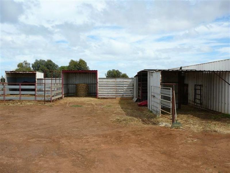 Lot 21 Ruskin Road, Dublin SA 5501