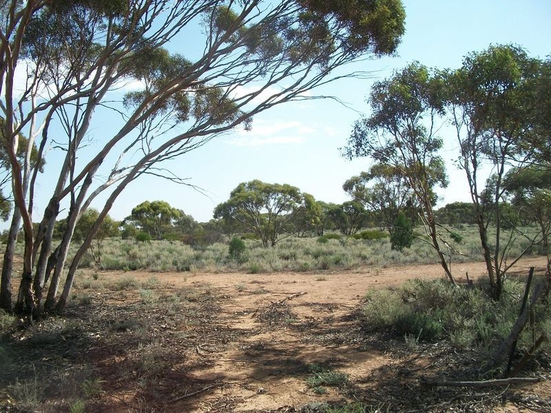 Section 14 Sleeper Track Road, Swan Reach SA 5354