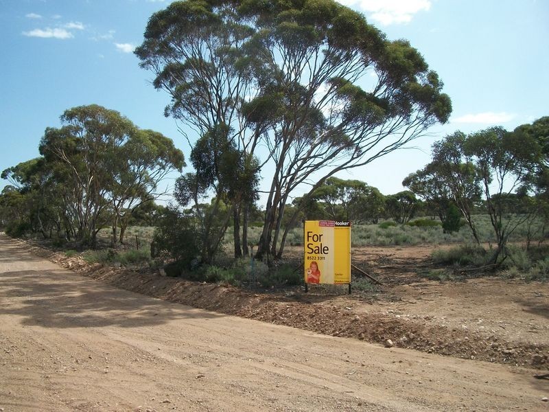 Section 14 Sleeper Track Road, Swan Reach SA 5354