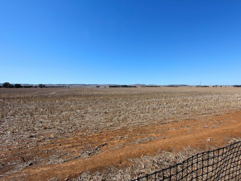 Lot 11 & 1 Oldham Street, Tarlee SA 5411