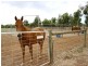 LOT 55 Twartz Road, Roseworthy SA 5371