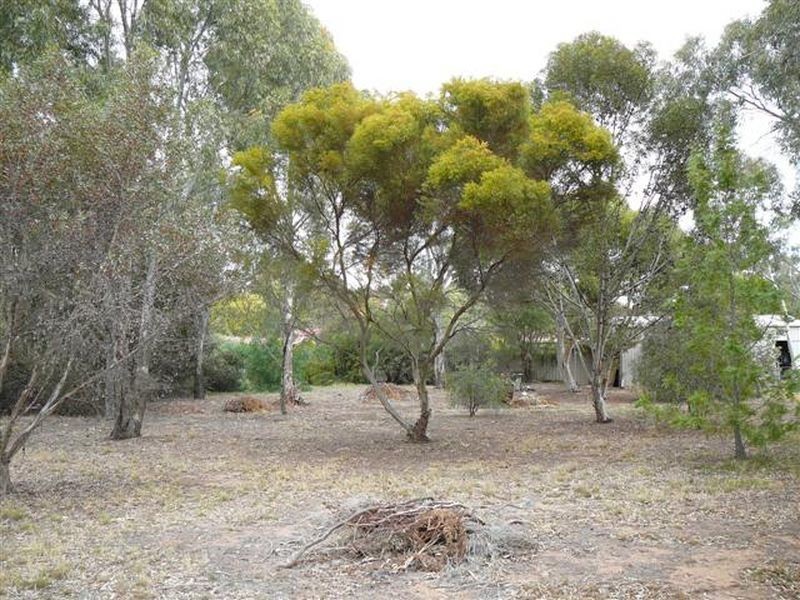 23 Meshach Burge Terrace, Lyndoch SA 5351