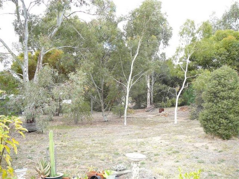 23 Meshach Burge Terrace, Lyndoch SA 5351