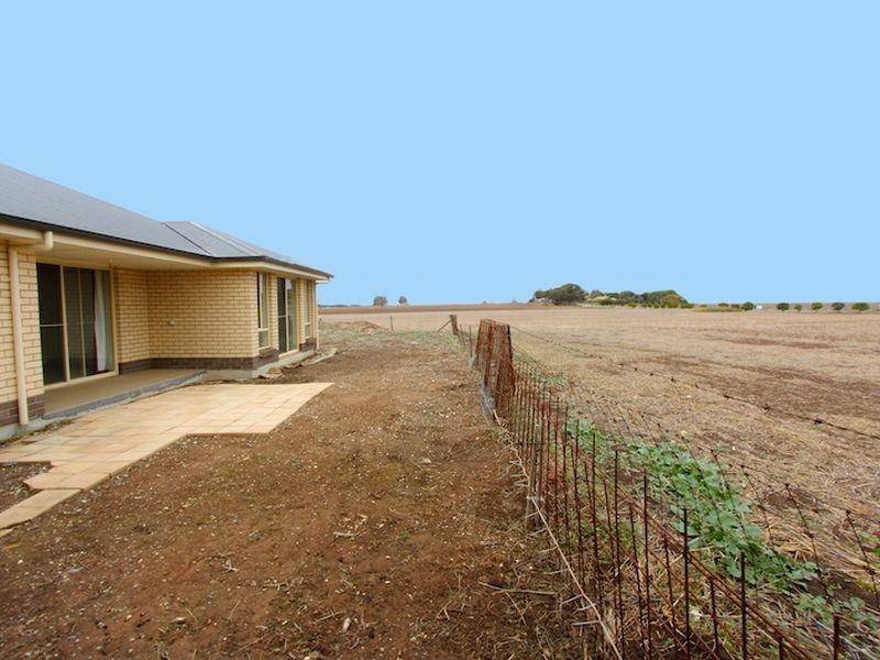 48a (Lot 7 Schuster Street, Freeling SA 5372
