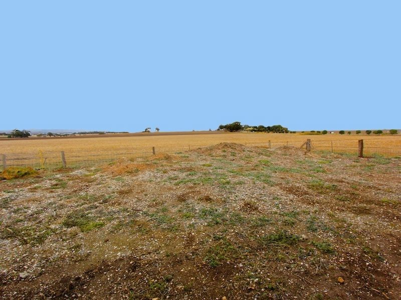 48a (Lot 7 Schuster Street, Freeling SA 5372