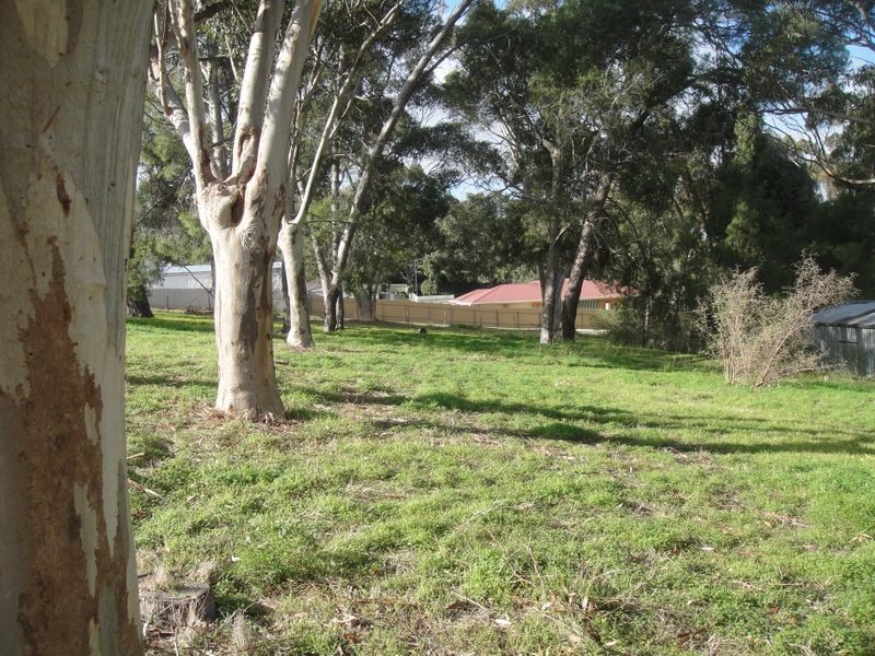 Lot 1 Old Sturt Highway, Daveyston SA 5355