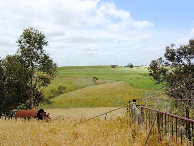 Lot 493 Alexander Avenue, Bibaringa SA 5118