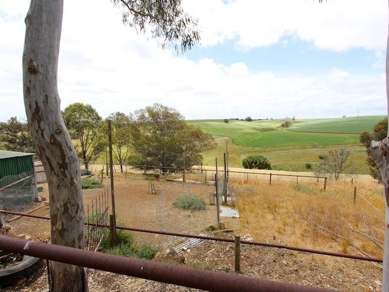 Lot 493 Alexander Avenue, Bibaringa SA 5118
