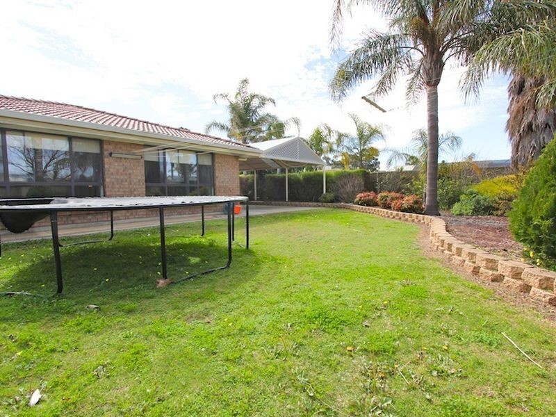 56 Dawkins Avenue, Willaston SA 5118