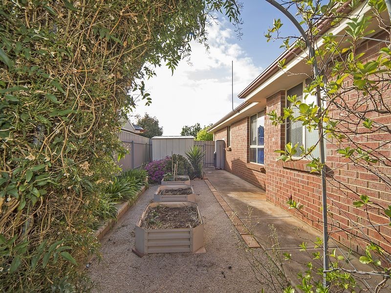 6 Netherby Avenue, Evanston Park SA 5116