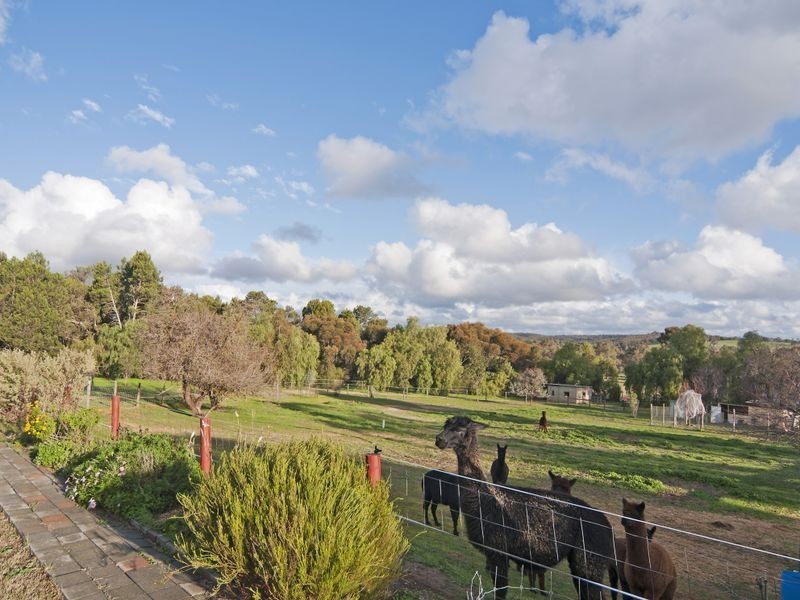 271 Williamstown Road, Cockatoo Valley SA 5351