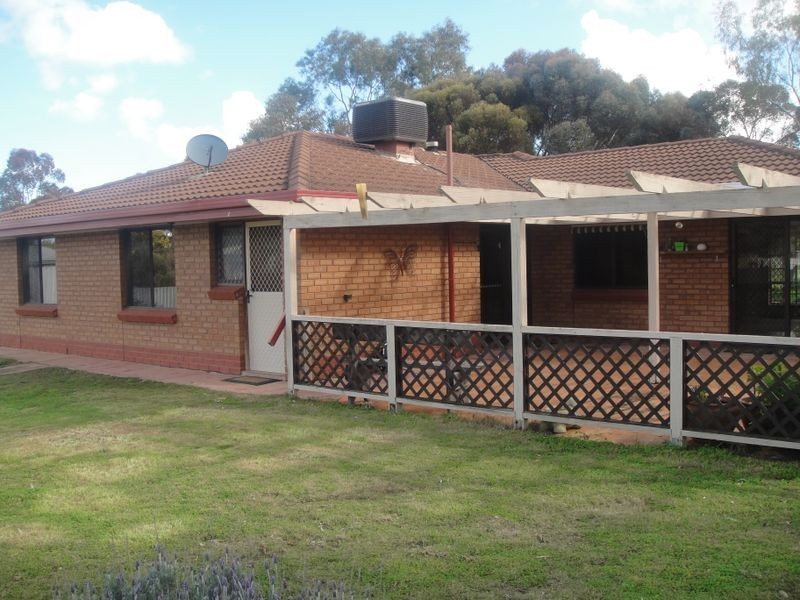 42 Aunger Road, Lewiston SA 5501