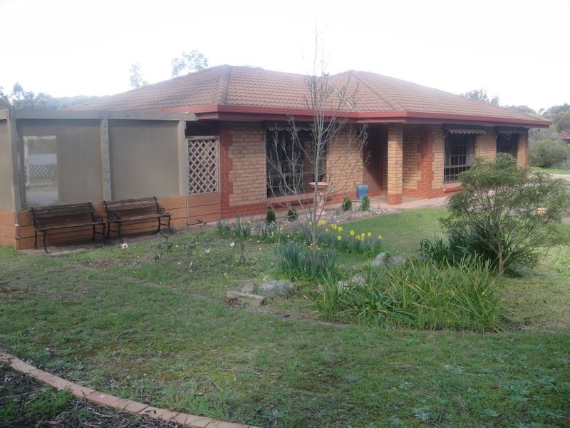 42 Aunger Road, Lewiston SA 5501