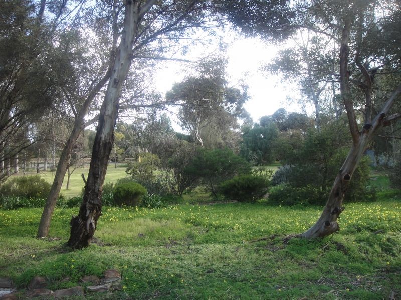 42 Aunger Road, Lewiston SA 5501