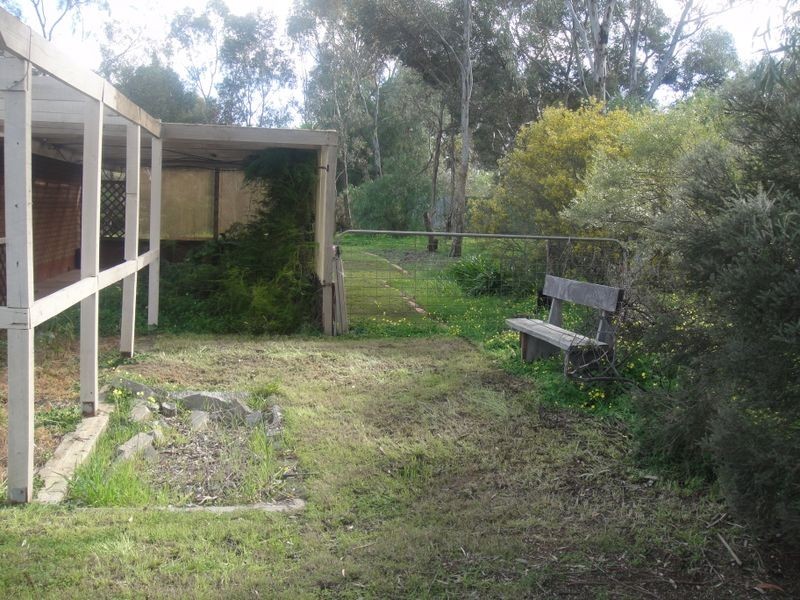 42 Aunger Road, Lewiston SA 5501