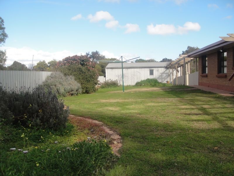 42 Aunger Road, Lewiston SA 5501