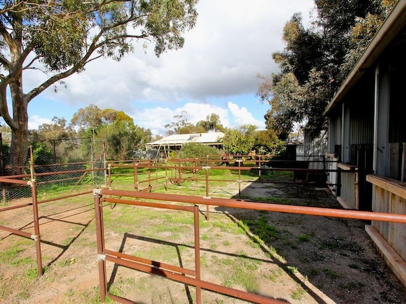 3 Gartrell Street, Roseworthy SA 5371