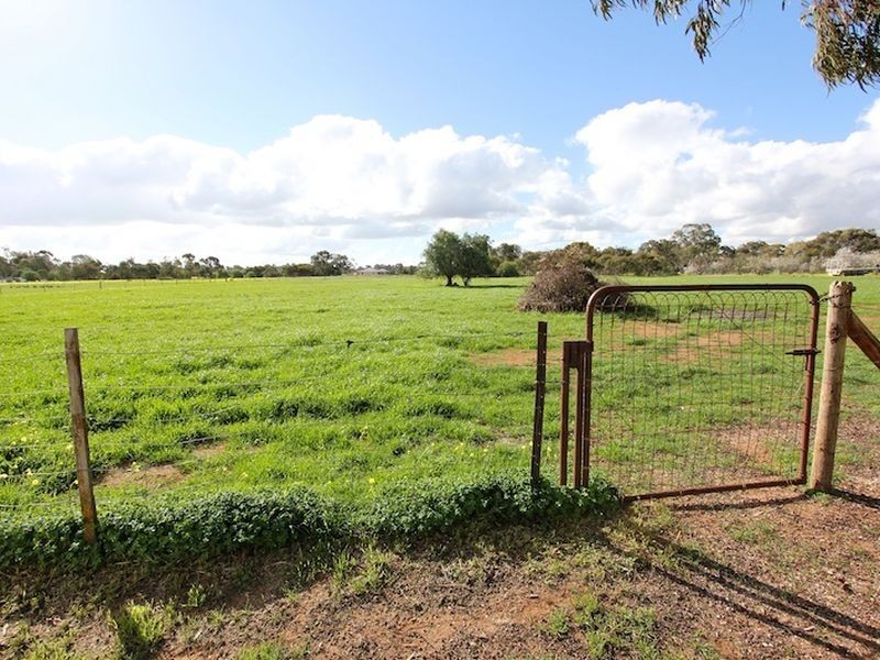 3 Gartrell Street, Roseworthy SA 5371